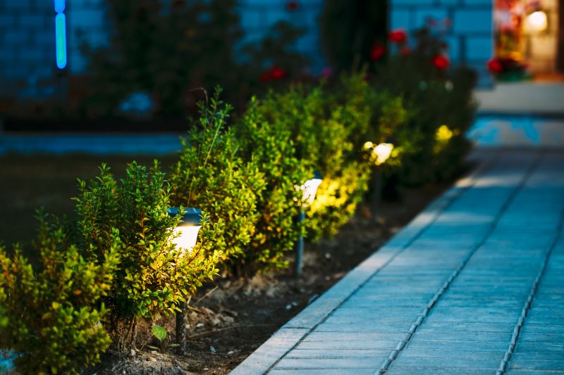 landscape lighting contractors
