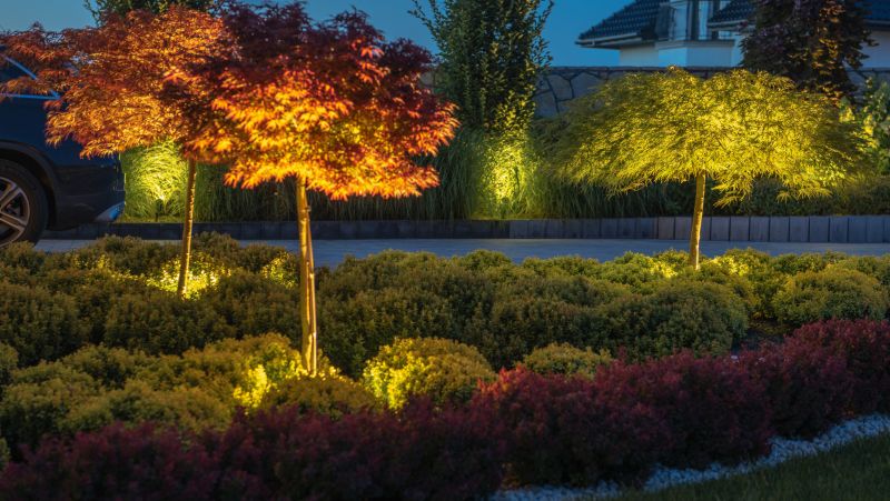 Landscape Lighting Contractors