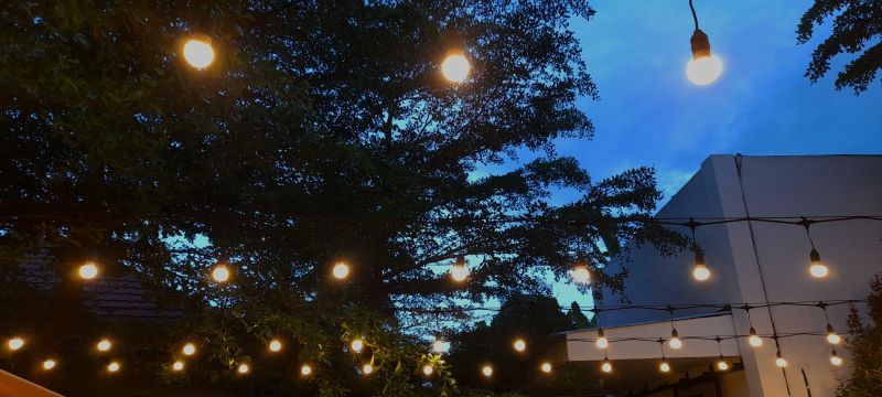 Landscape Lighting at Dusk