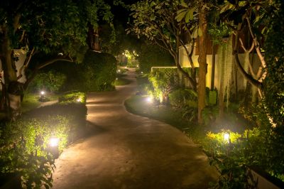 Nighttime Garden Scene