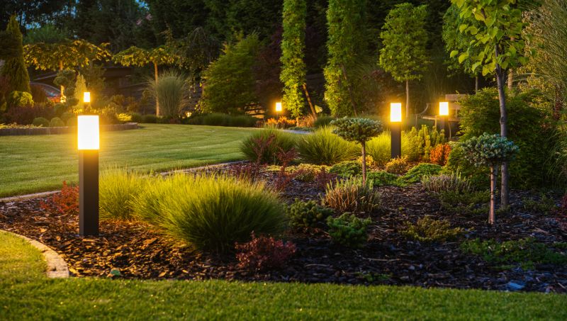 Backyard Landscape Lighting